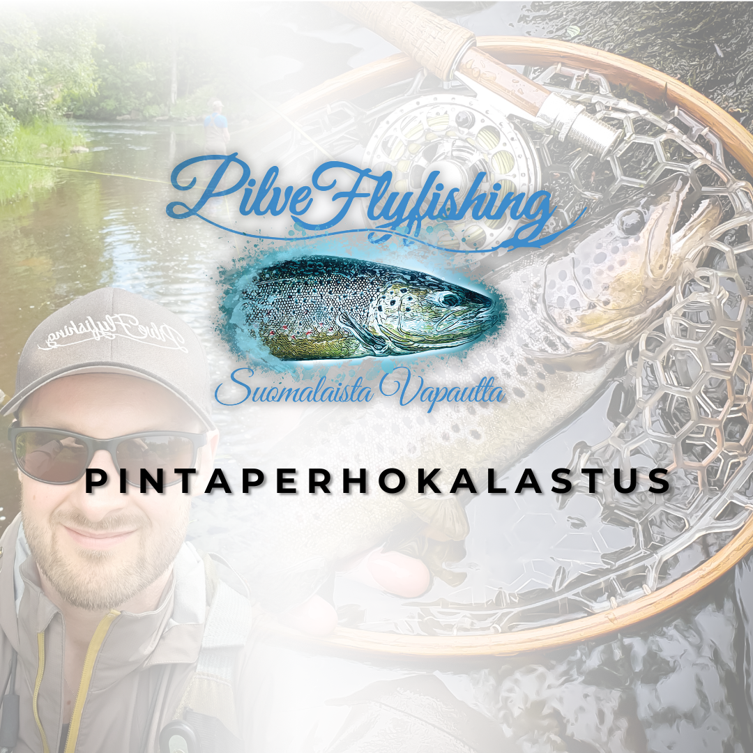 Pintaperhokalastus – Verkkokoulutuksen tallenne