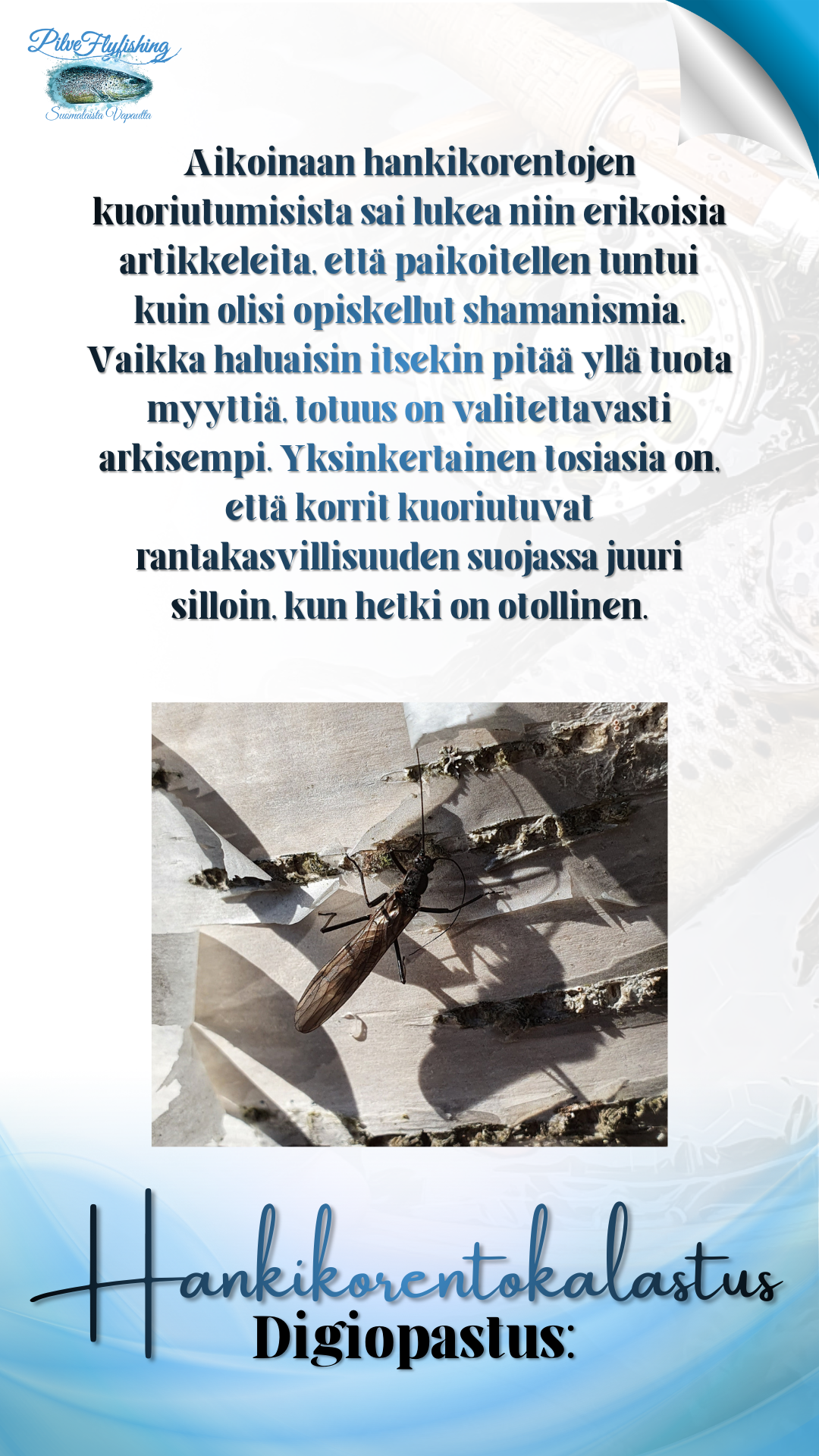 Digiopastus: Hankikorentokalastus