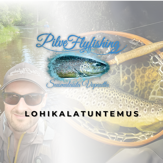 Lohikalatuntemus – Verkkokoulutuksen tallenne