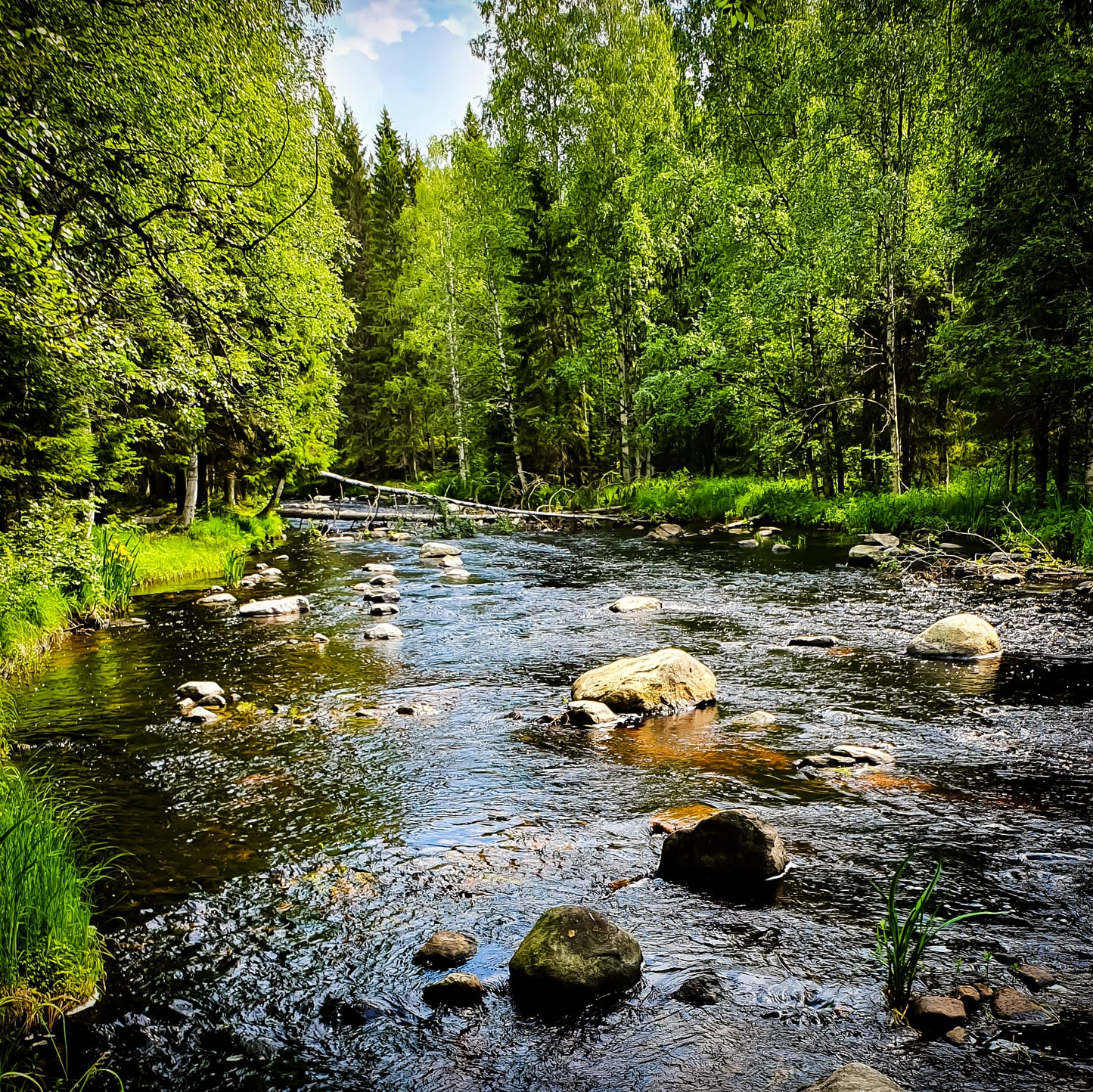 Opas lennosta, Koskikalastus 5h.